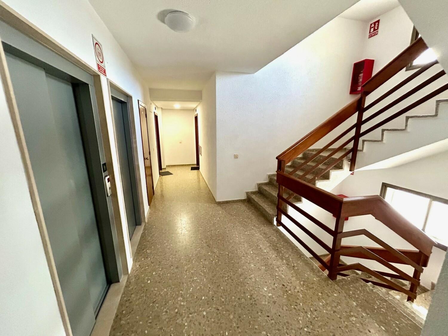 Gatu Arena " Preferente Mayores De 25 Anos Y Familias " El Puerto de Santa María Dış mekan fotoğraf